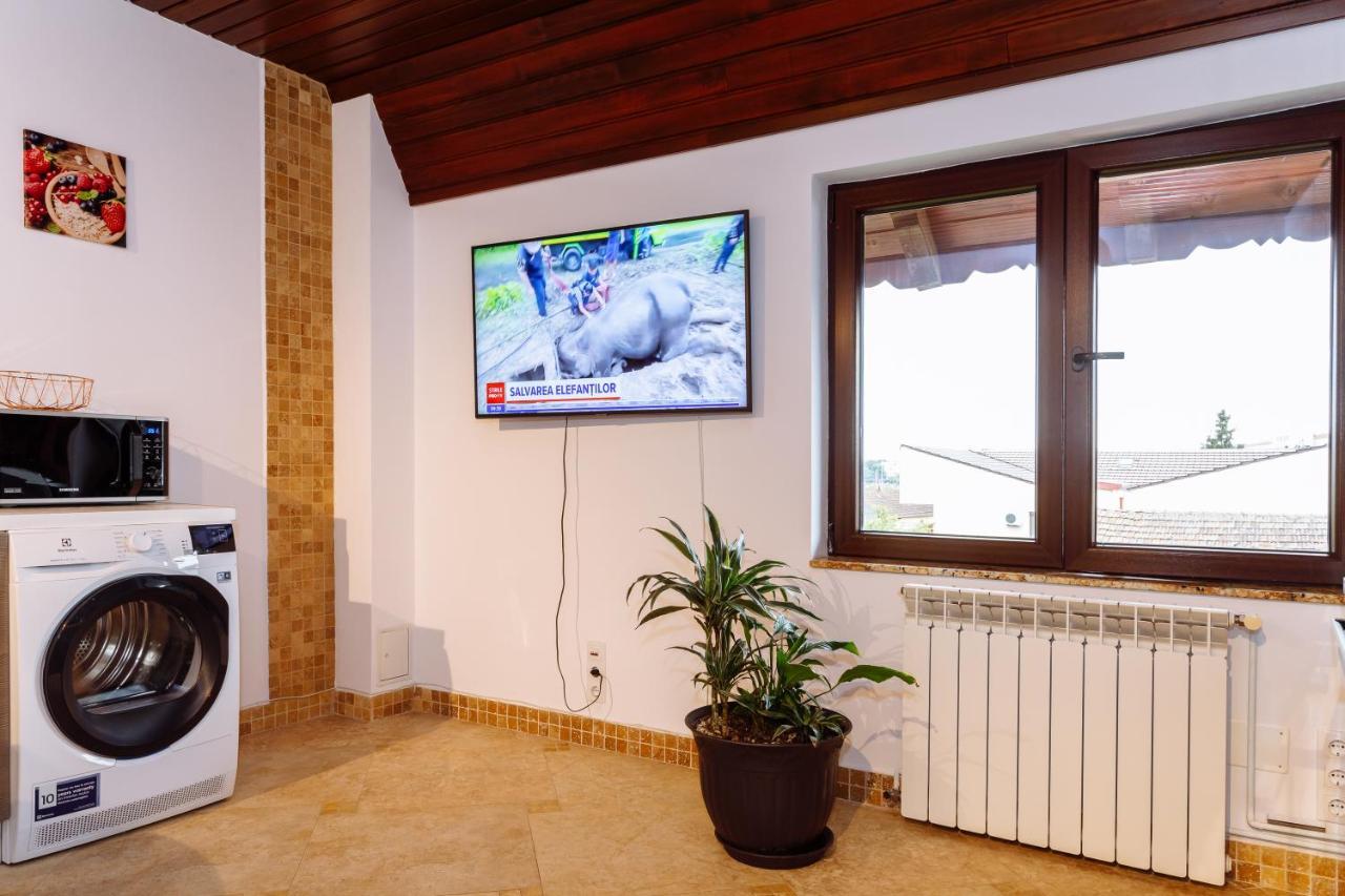 Ole Apartment - Get Your Energy For Free! Coffee And Tea On The House Τιμισοάρα Εξωτερικό φωτογραφία